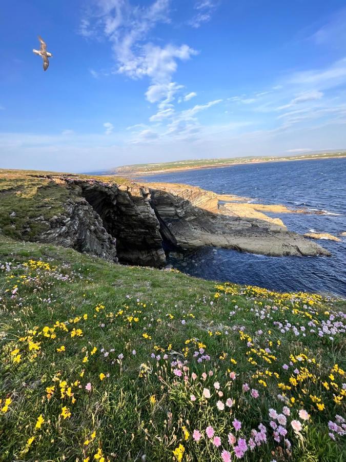 Peedie Cott Self-Catering, Orkney Saint Margarets Hope Экстерьер фото